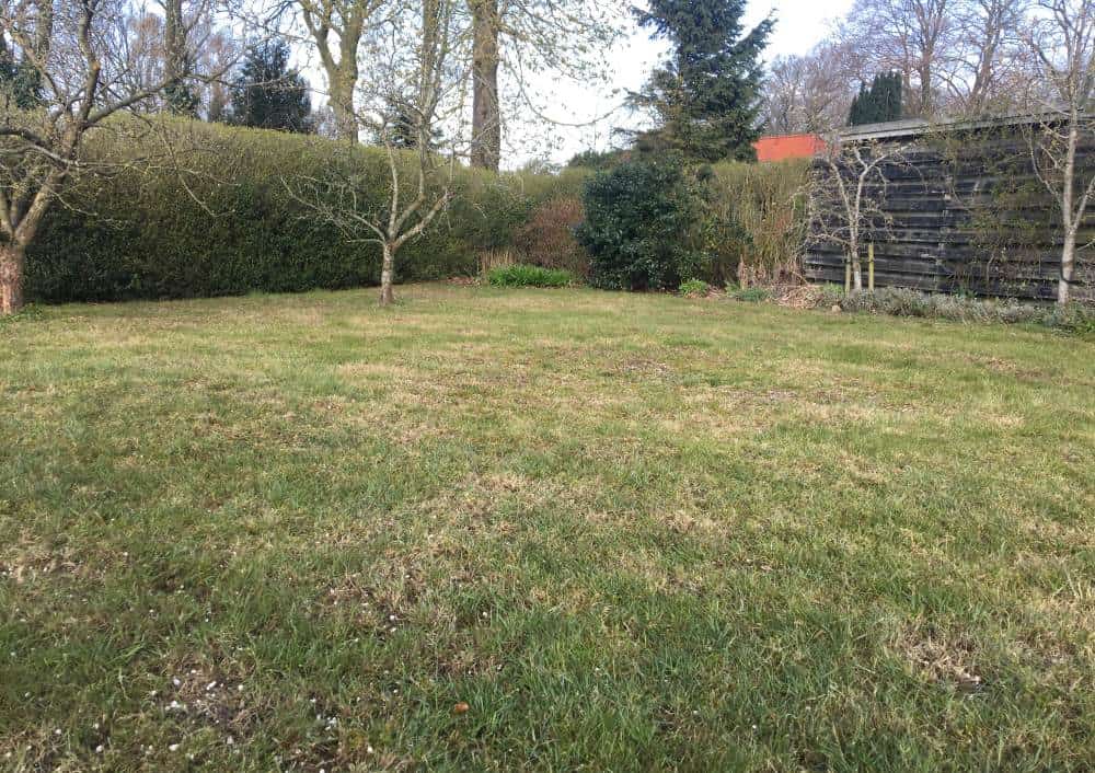 gult-graes-gul-graesplaene-trampolin3 gult-graes-gul-graesplaene-trampolin3